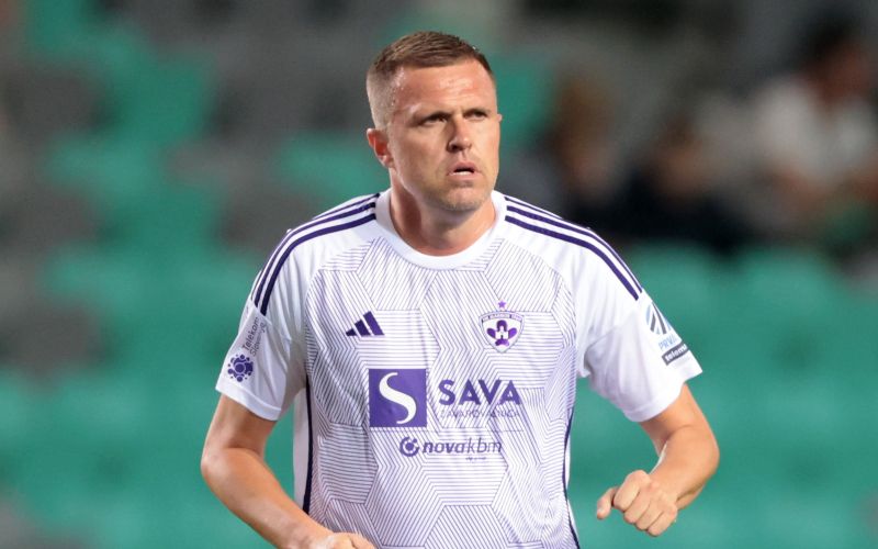 Ilicic