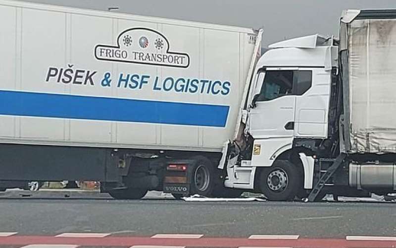 _pkd__1_.jpg