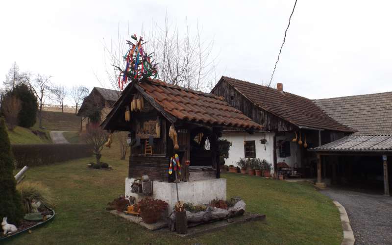 fikšinci, studenec, smreka