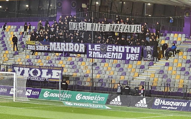 viole.jpg