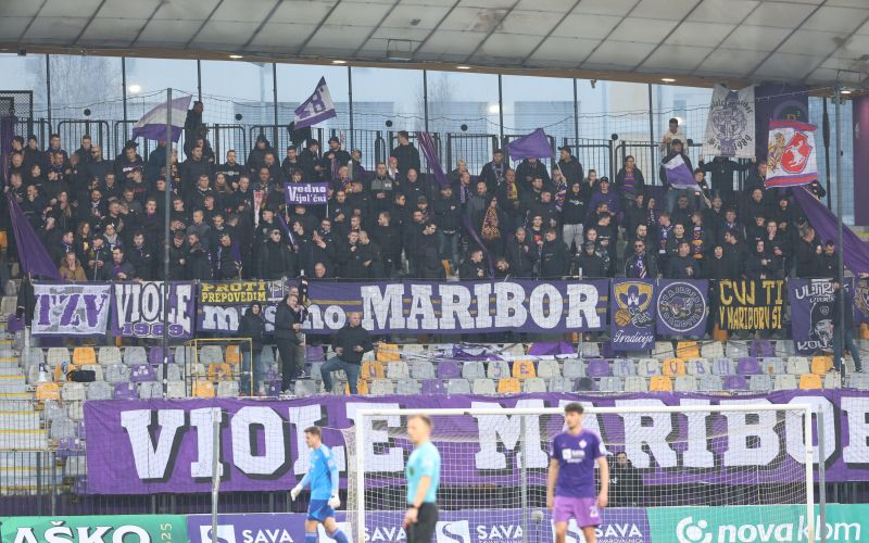 viole.jpg
