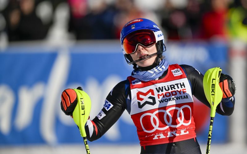 shiffrin.jpg