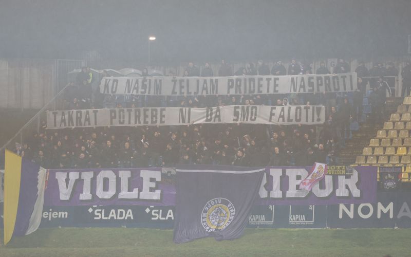 maribor viole.jpg
