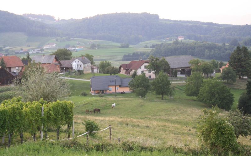 ponikve_000.jpg