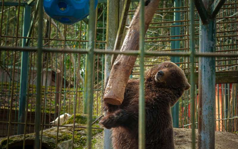 zoo, zoo-park-rožman
