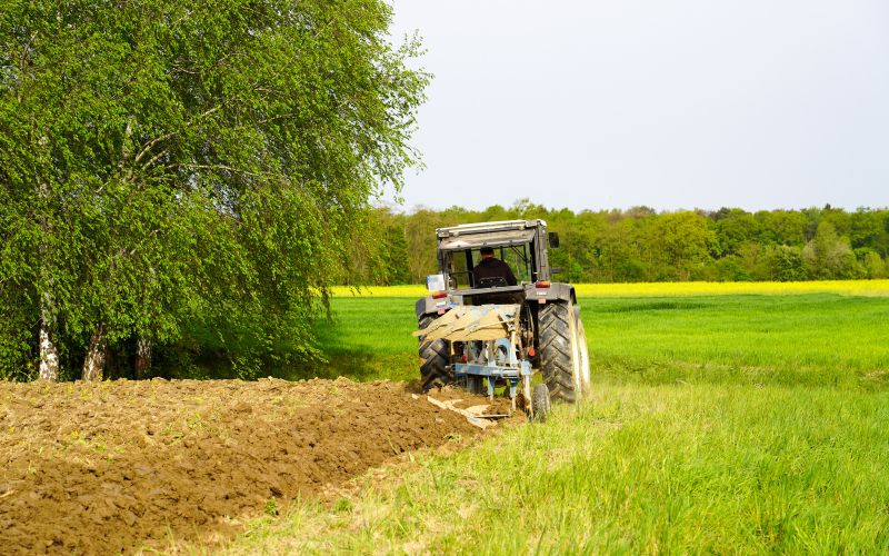 kmetijstvo, poljedeljstvo, njive, traktor, gnojenje