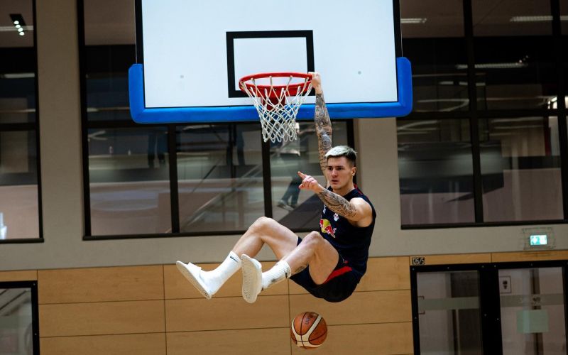 šeško koš