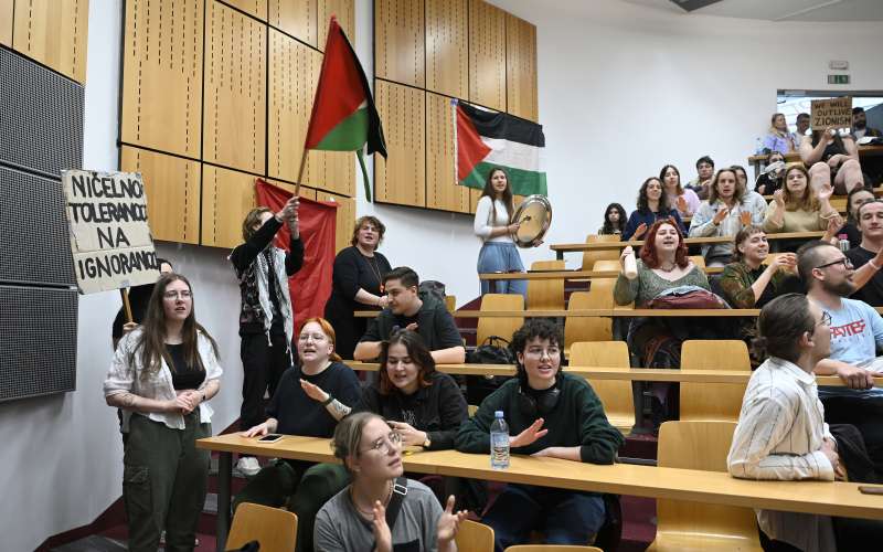 fdv, protest, študenti, palestina