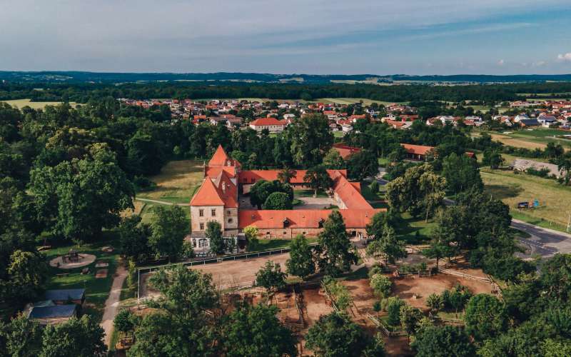 ris, dvorec-rakičan, grad, rakičan, dron