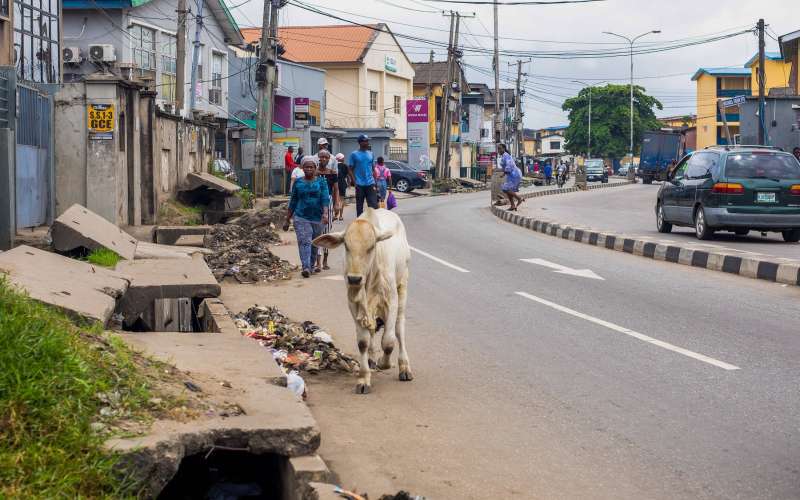 cesta nigerija.jpg
