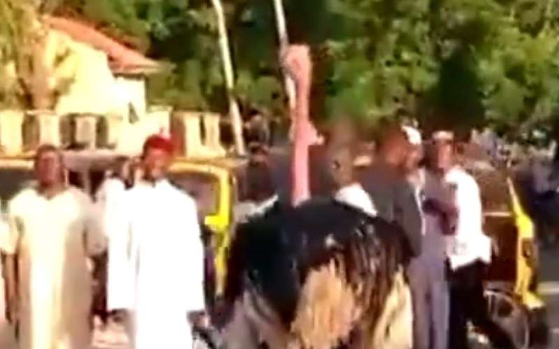noj nigerija zoo.jpg