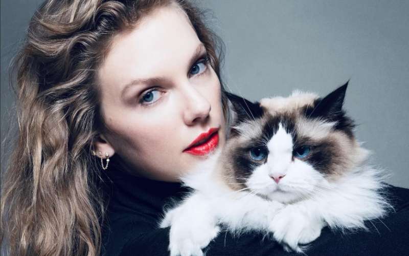 taylor swift
