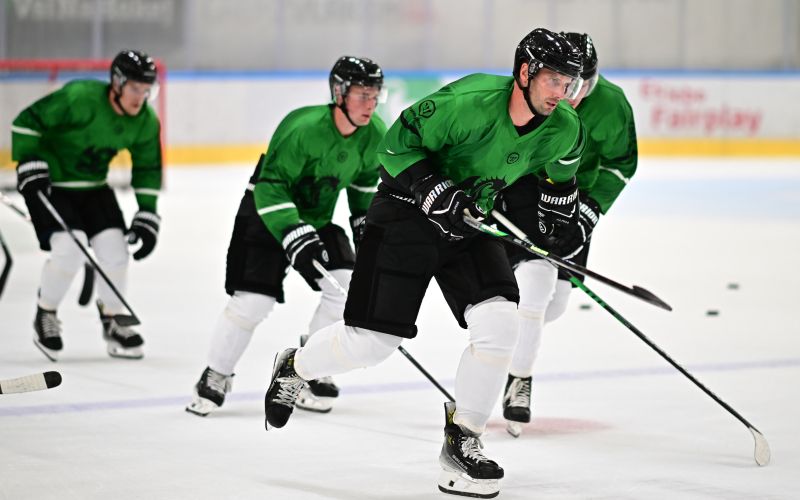 olimpija hokej gregorc 24 mm.jpg