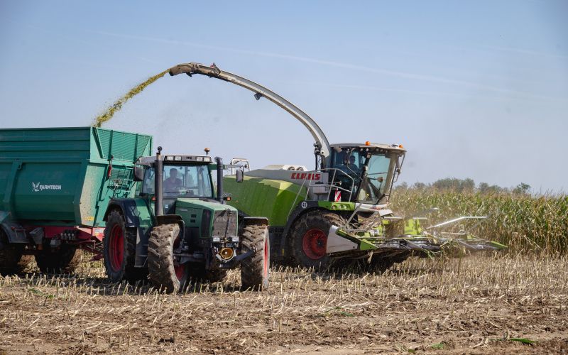 žetev, koruza, žetev-koruze, kombajn, traktor, njiva
