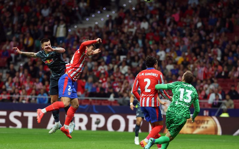 šeško oblak