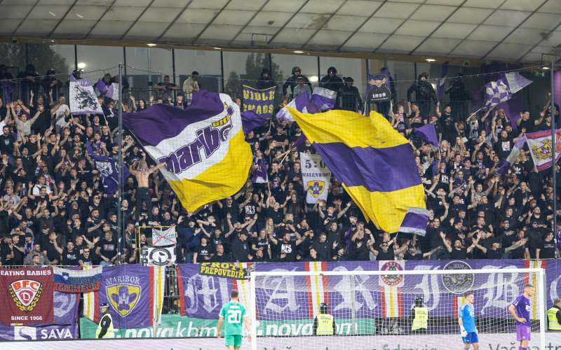 viole gw.jpg