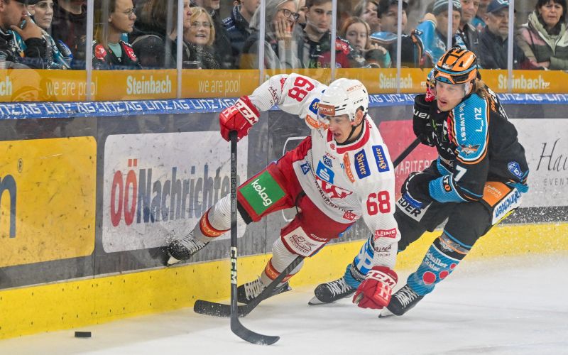 luka gomboc kac 24.jpg