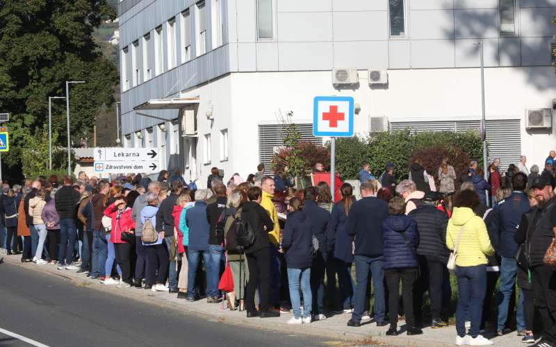 zd slovenska bistrica, zdravnica, vrsta.jpg