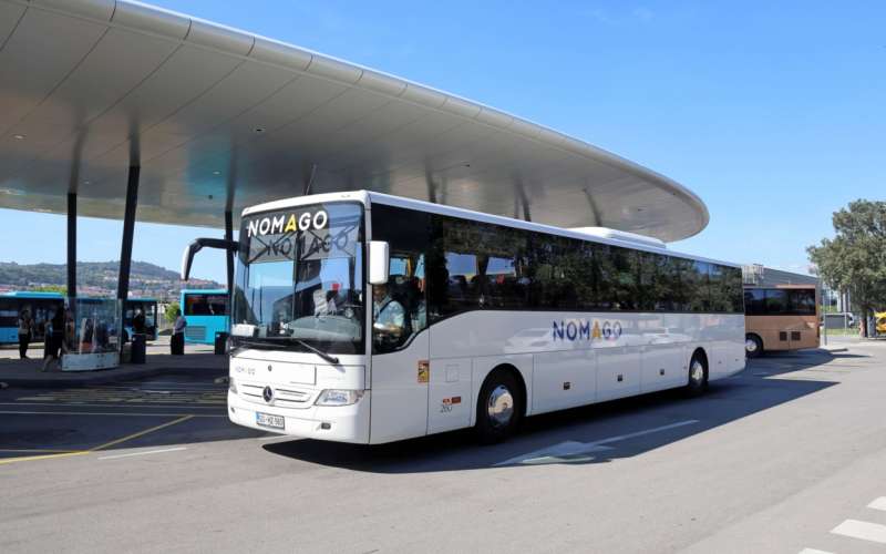 917219_229_avtobusi_03t.jpg