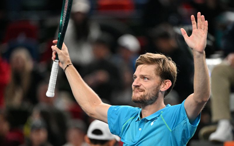 David Goffin.jpg