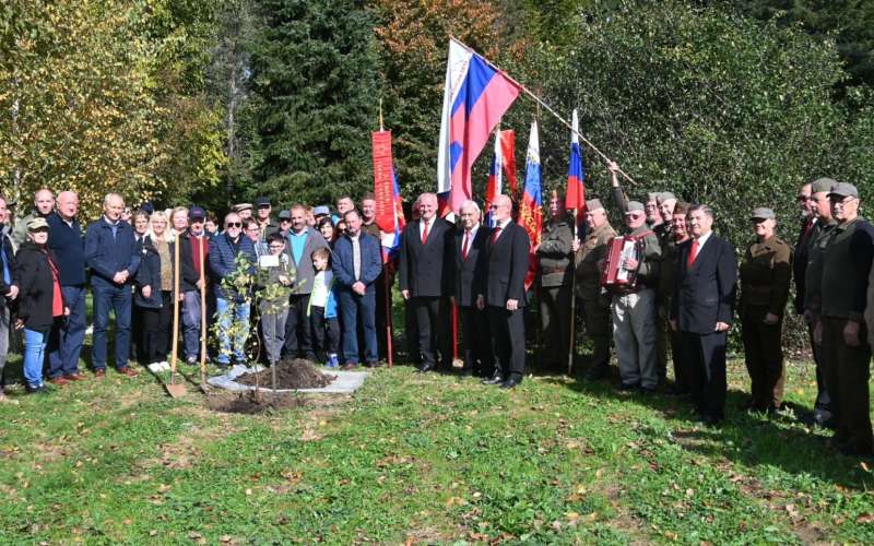 vrt-spominov-in-tovarištva, cankarjeva-brigada, navadna-breza