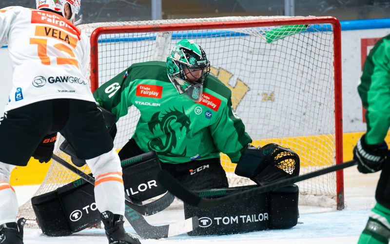 hokej olimpija horak 24 dj.jpeg