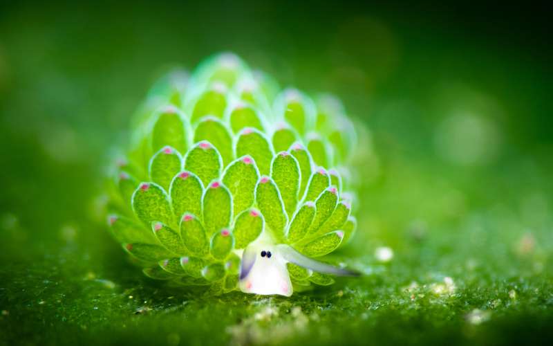 shutterstock_2293058687.jpg