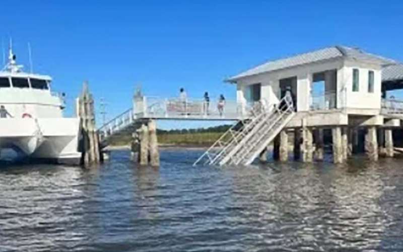 sapelo-island.jpg
