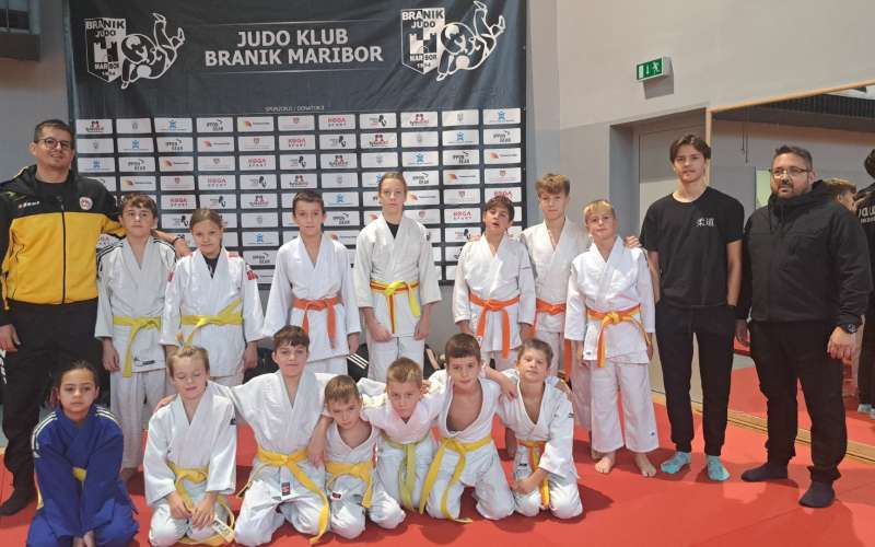 judo
