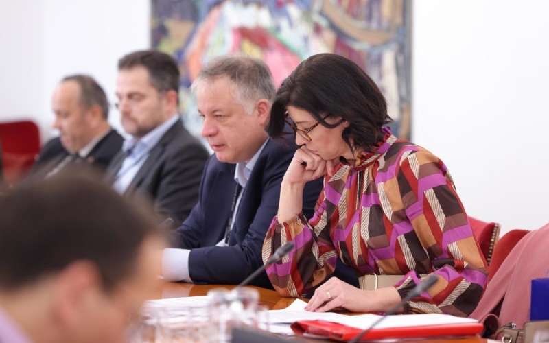 Dominika Švarc Pipan.jpg