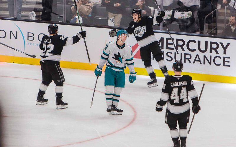 los angeles kings 24 .jpg