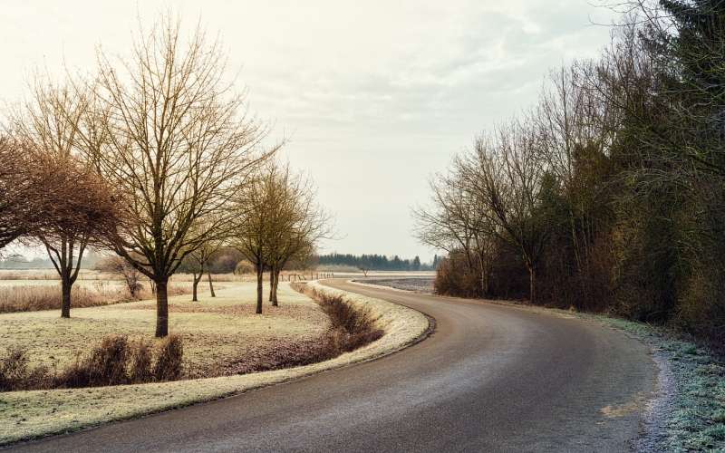 path-8330103_1280.jpg