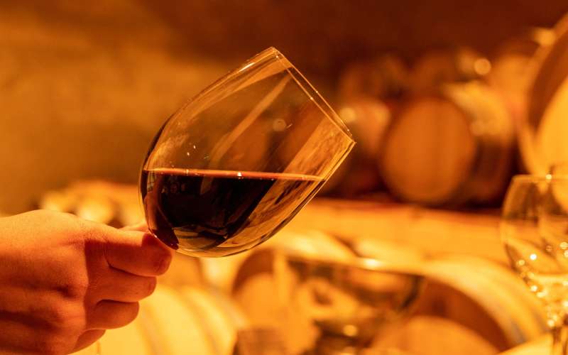 vino