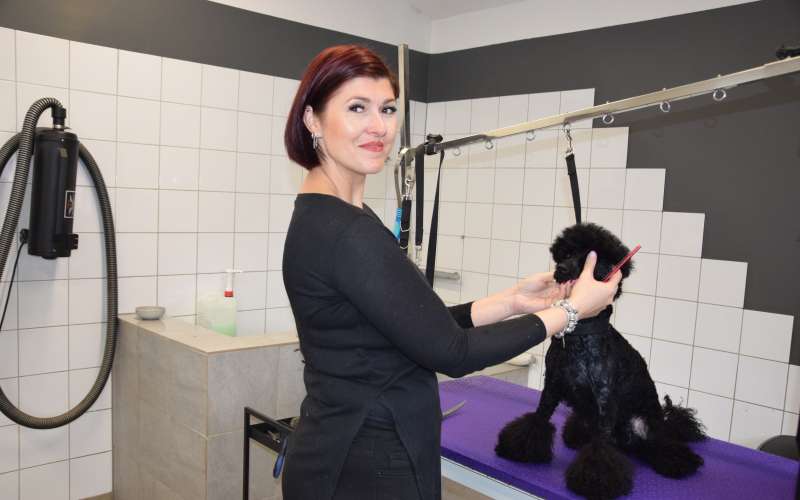 pia-sara-naveršnik, lepotica-in-zver, pasji-salon