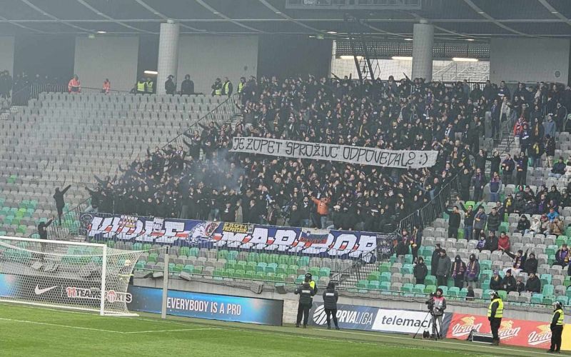 maribor viole.jpg