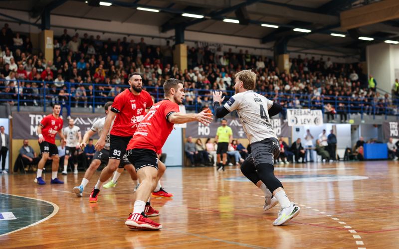 trimo slovan af.jpg