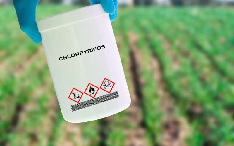 klorpirifos.jpg
