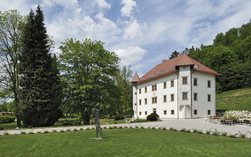 dvorec drnča 3.jpg