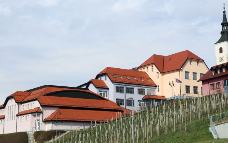 1491816457_cg_destrnik_sola_2.jpg