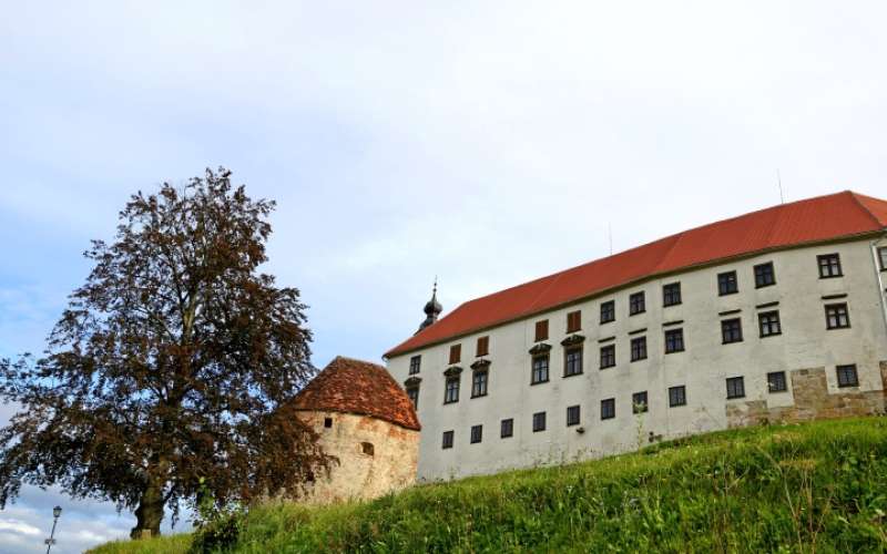 1665060351_cg_muzej.jpg
