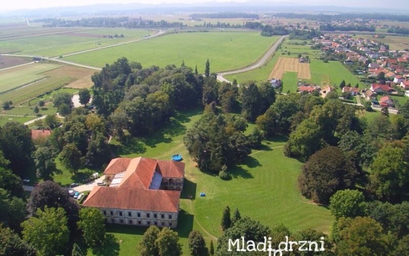 1505037397_dz-mladi_in_drzni.jpg