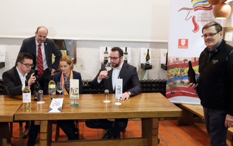 1550680544_cg_mistik_kurentovo_vino.jpg