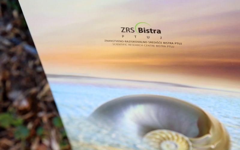 1516530352_cg_bistra.jpg