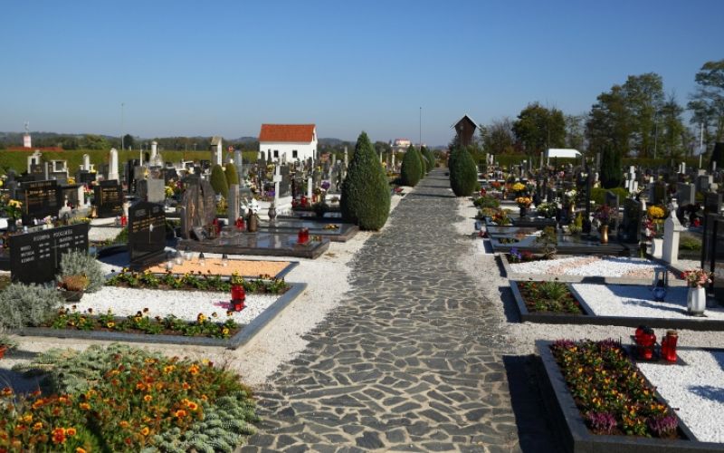1634819241_cg_pokopalisce_1.jpg