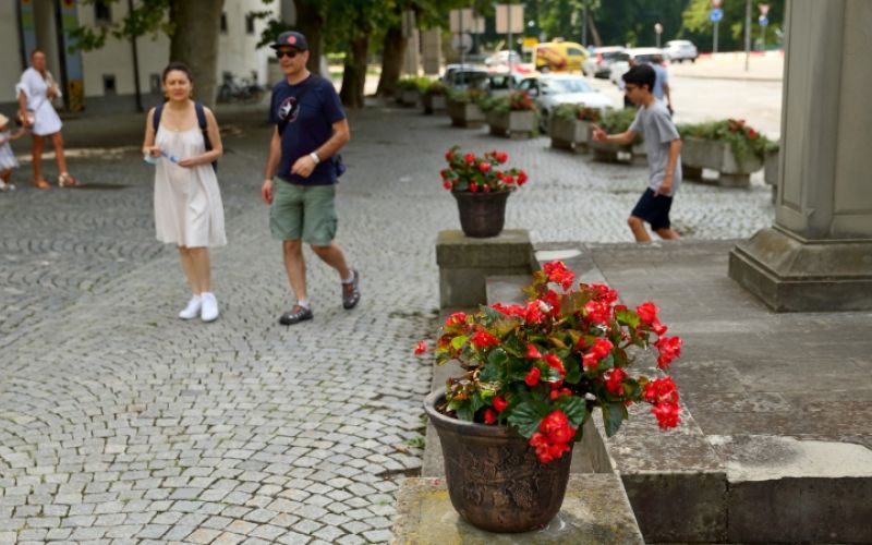 1629116225_cg_ptuj_moja_dezela.jpg