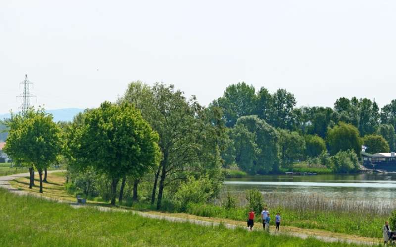 1684758926_cg_naslovnica_40.jpg