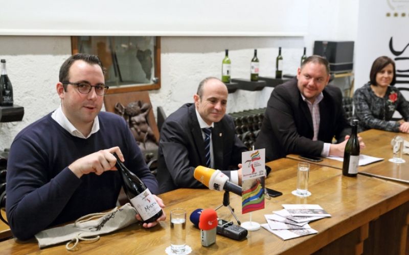 1517992300_cg_vinska_klet_vino_mistik.jpg