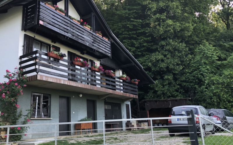 1554724121_gt-tomič.jpeg