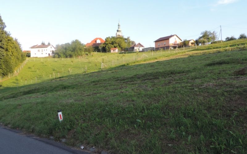 1532443623_ml-plaz_polensak.jpg