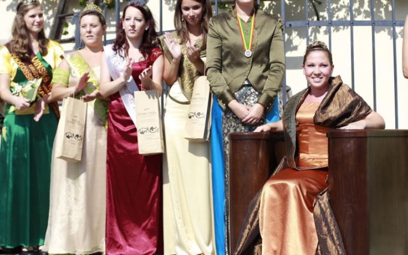 1537360095_mariborska-vinska-kraljica-2014-urska-bracko.jpg